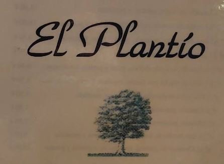 Asciende al Almanzor: Historia, Leyenda y Aventura en el Corazón de Gredos 2 Cafetería El Plantío